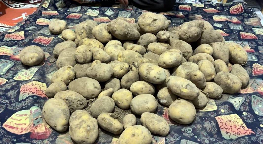 Patates diye aldı, içinden 'ördek' çıktı! Eve gelince fark etti, sonra bu sözü verdi 3